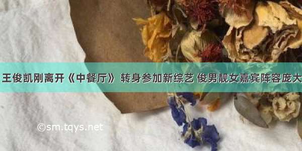 王俊凯刚离开《中餐厅》 转身参加新综艺 俊男靓女嘉宾阵容庞大