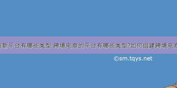 跨境电商新平台有哪些类型 跨境电商的平台有哪些类型?如何组建跨境电商的公司?