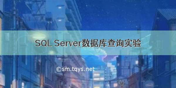 SQL Server数据库查询实验