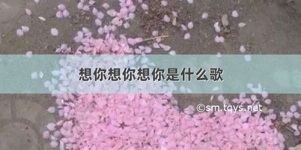 想你想你想你是什么歌