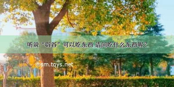 听说“辟谷”可以吃东西 请问吃什么东西呢？