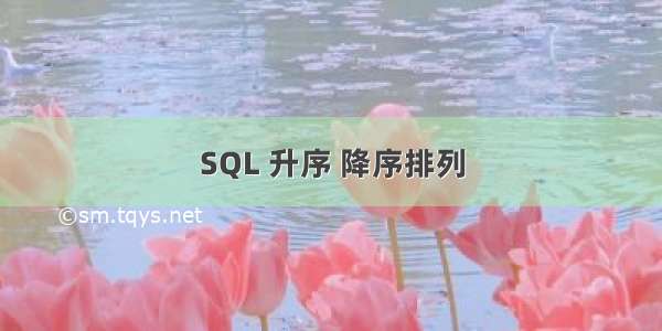 SQL 升序 降序排列