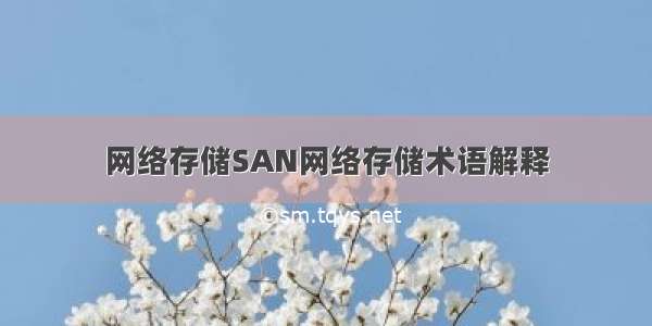 网络存储SAN网络存储术语解释