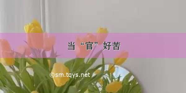 当“官”好苦