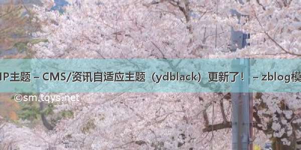 zblogPHP主题 – CMS/资讯自适应主题（ydblack）更新了！ – zblog模板更新 – 