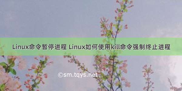 Linux命令暂停进程 Linux如何使用kill命令强制终止进程