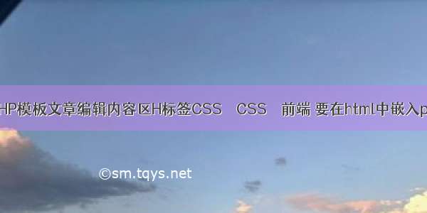 zblogPHP模板文章编辑内容区H标签CSS – CSS – 前端 要在html中嵌入php代码