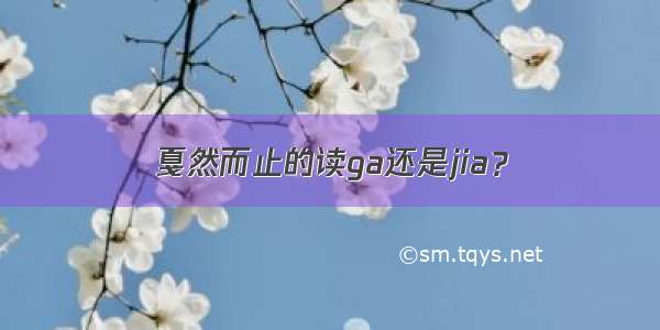 戛然而止的读ga还是jia？