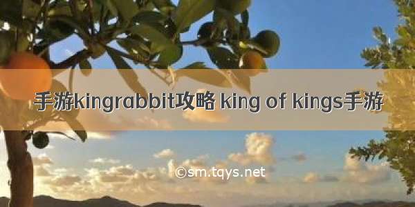 手游kingrabbit攻略 king of kings手游