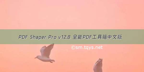 PDF Shaper Pro v12.8 全能PDF工具箱中文版