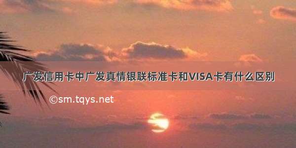 广发信用卡中广发真情银联标准卡和VISA卡有什么区别