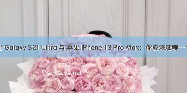 三星 Galaxy S21 Ultra 与 苹果 iPhone 13 Pro Max：你应该选哪一个
