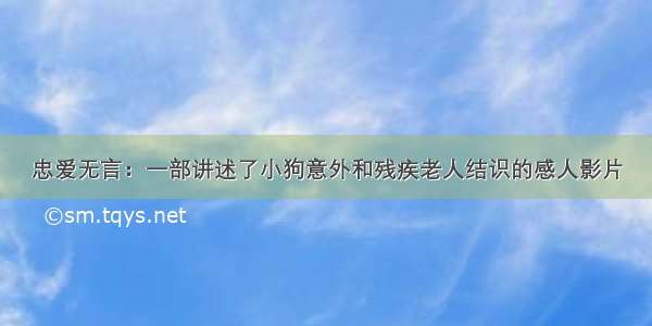 忠爱无言：一部讲述了小狗意外和残疾老人结识的感人影片