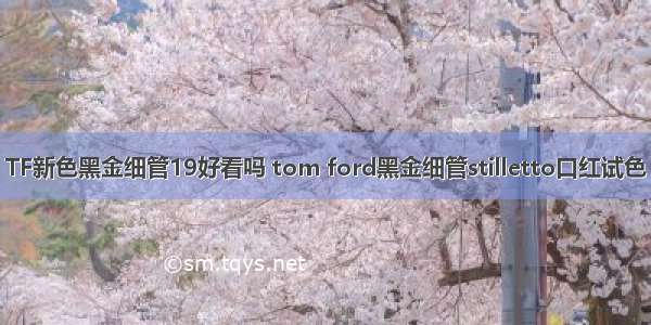 TF新色黑金细管19好看吗 tom ford黑金细管stilletto口红试色