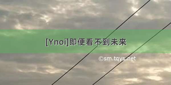 [Ynoi]即便看不到未来