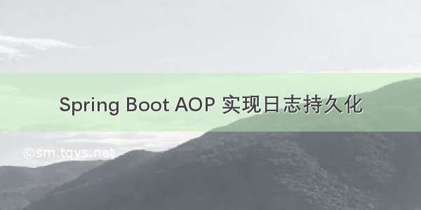 Spring Boot AOP 实现日志持久化