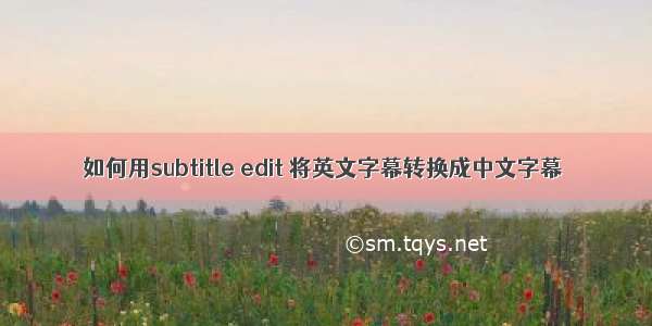 如何用subtitle edit 将英文字幕转换成中文字幕