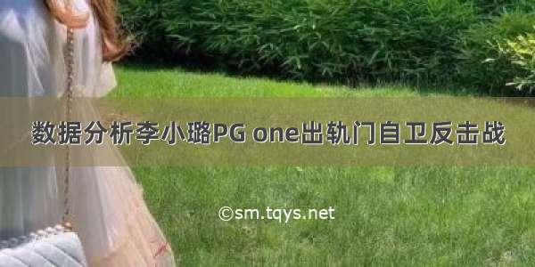 数据分析李小璐PG one出轨门自卫反击战