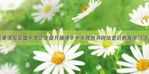 华夏保险楚雄中支党支部开展铸牢中华民族共同体意识教育学习活动