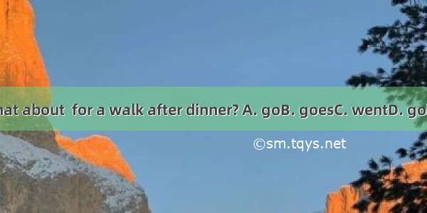What about  for a walk after dinner? A. goB. goesC. wentD. going