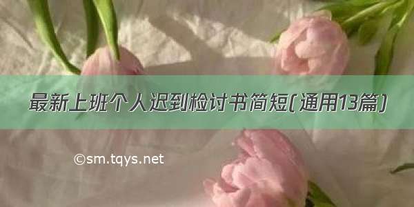 最新上班个人迟到检讨书简短(通用13篇)