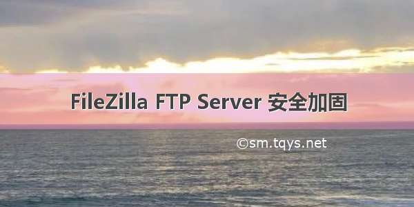 FileZilla FTP Server 安全加固