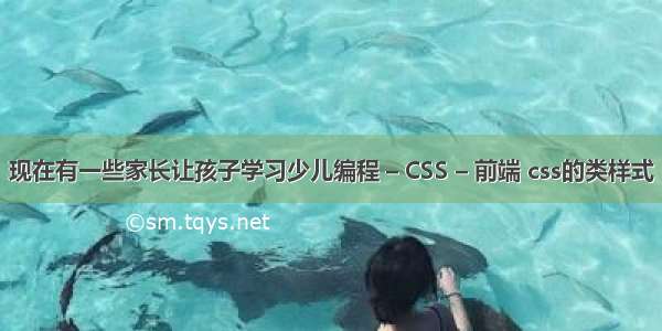 现在有一些家长让孩子学习少儿编程 – CSS – 前端 css的类样式