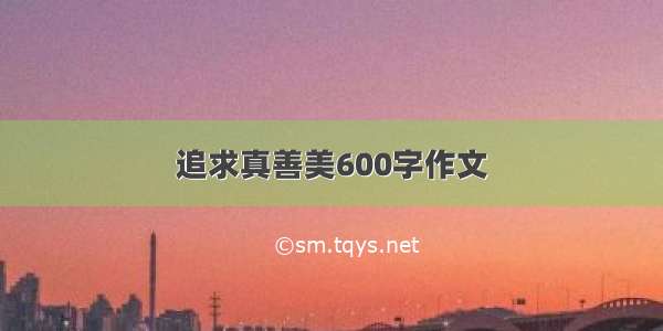 追求真善美600字作文