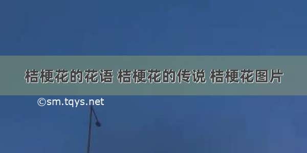 桔梗花的花语 桔梗花的传说 桔梗花图片