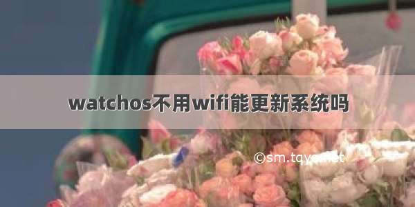 watchos不用wifi能更新系统吗