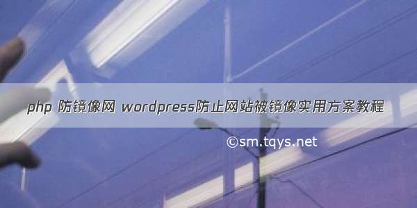 php 防镜像网 wordpress防止网站被镜像实用方案教程