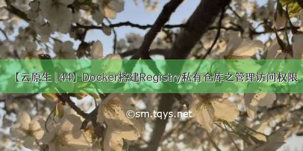 【云原生 | 44】Docker搭建Registry私有仓库之管理访问权限