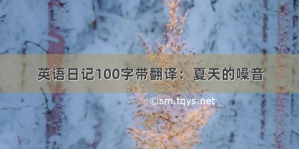 英语日记100字带翻译：夏天的噪音