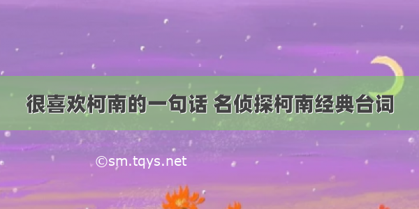 很喜欢柯南的一句话 名侦探柯南经典台词