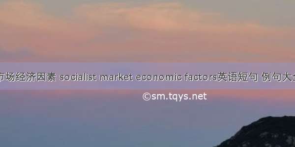 市场经济因素 socialist market economic factors英语短句 例句大全