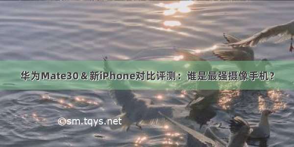 华为Mate30＆新iPhone对比评测：谁是最强摄像手机？