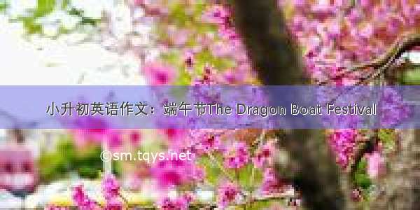 小升初英语作文：端午节The Dragon Boat Festival