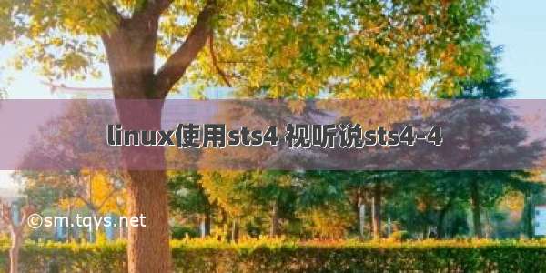 linux使用sts4 视听说sts4-4