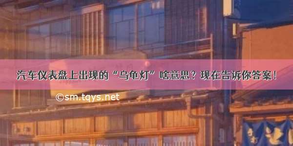 汽车仪表盘上出现的“乌龟灯”啥意思？现在告诉你答案！