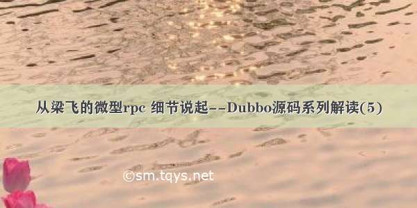 从梁飞的微型rpc 细节说起--Dubbo源码系列解读(5)