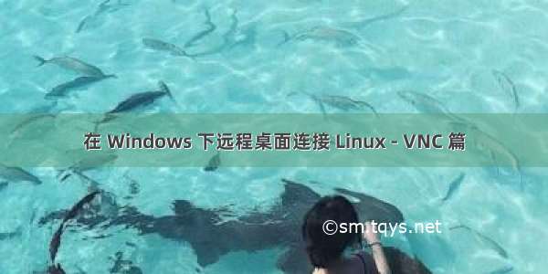 在 Windows 下远程桌面连接 Linux - VNC 篇