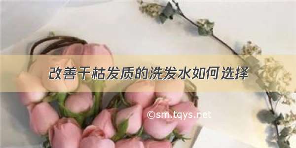 改善干枯发质的洗发水如何选择