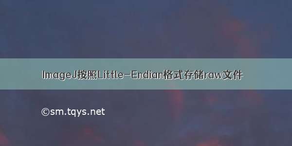 ImageJ按照Little-Endian格式存储raw文件