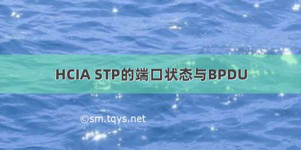 HCIA STP的端口状态与BPDU