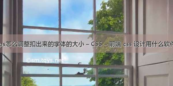 ps怎么调整扣出来的字体的大小 – CSS – 前端 css 设计用什么软件