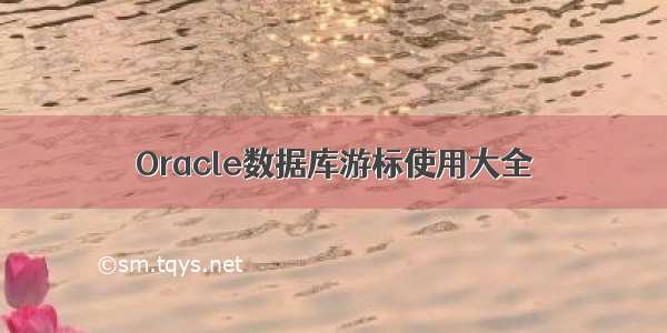 Oracle数据库游标使用大全