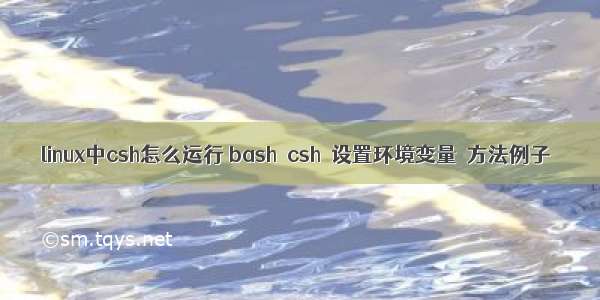 linux中csh怎么运行 bash csh 设置环境变量 方法例子