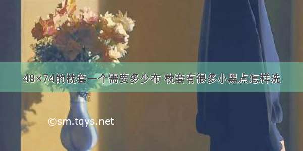 48×74的枕套一个需要多少布 枕套有很多小黑点怎样洗