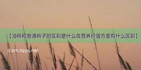 【油桃和普通桃子的区别是什么在营养价值方面有什么区别】