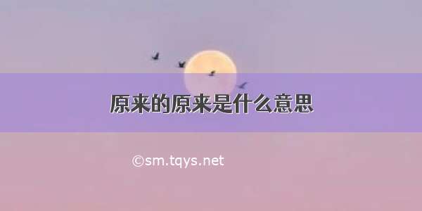 原来的原来是什么意思